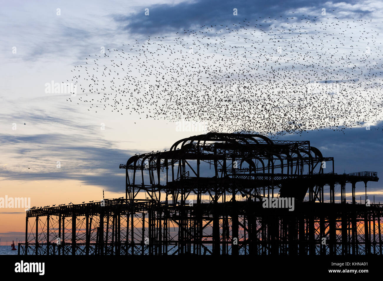 Brighton, UK. Starling murmurations bei Sonnenuntergang über verlassene West Pier von Brighton. Stockfoto