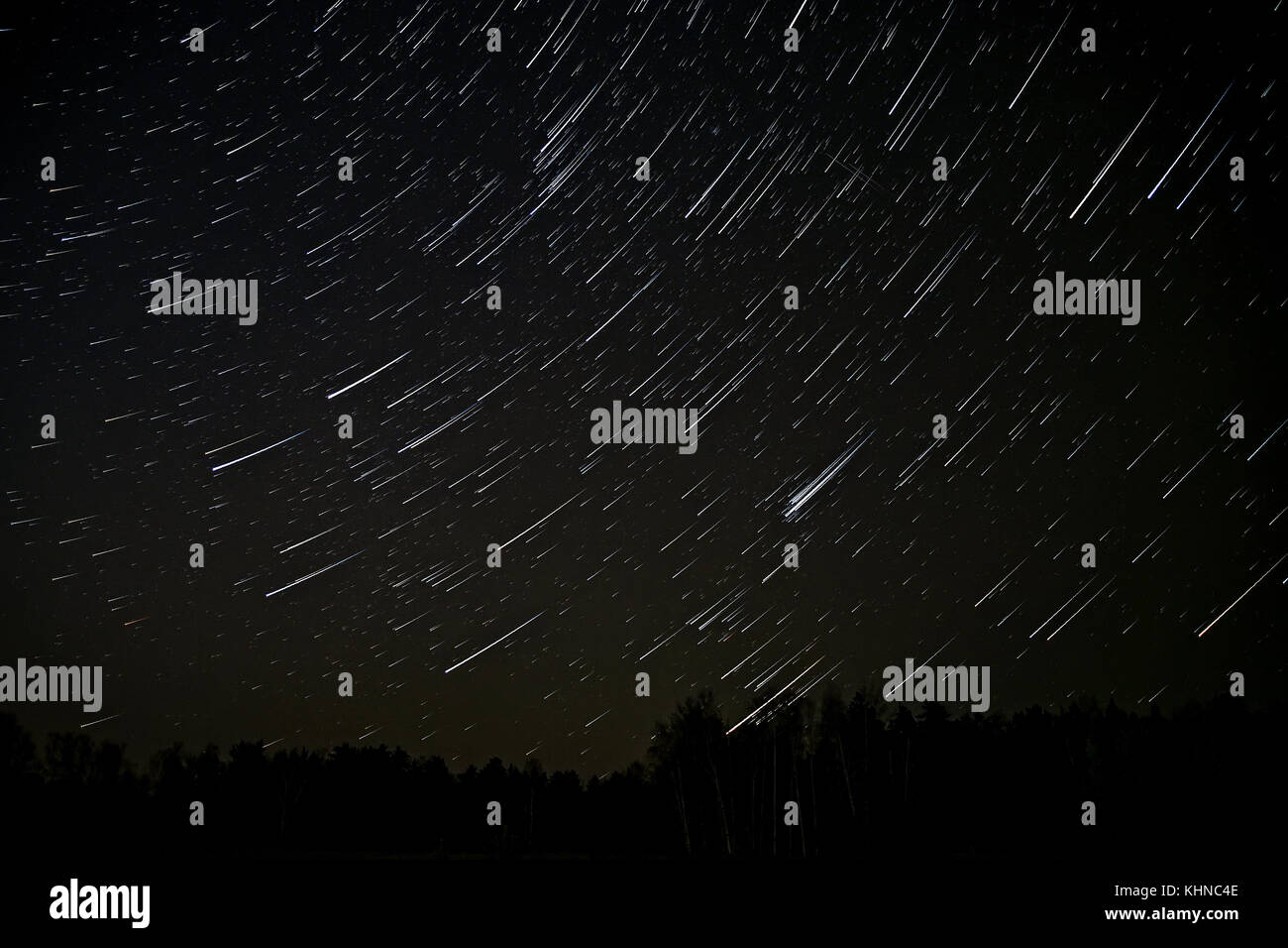 Nacht Landschaft mit Spuren von den Sternen am Nachthimmel auf dem Hintergrund eines dunklen Wald Stockfoto