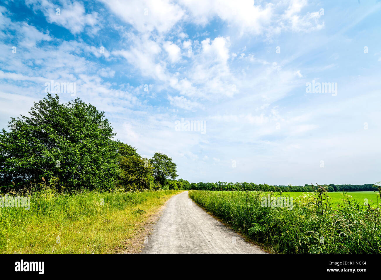 Ländliche Landschaft mit einem Naturlehrpfad durch Felder und Wiesen im Sommer umgeben Stockfoto