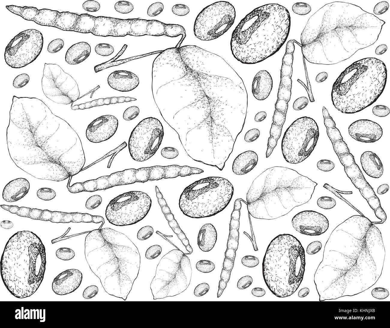 Gemüse- und Kräutergarten, Illustration Hintergrund Muster von Hand gezeichnete Skizze Schwarzes gemusterte Erbsen, eine gute Quelle für Ballaststoffe, Vitamine und Mineralien. Stock Vektor