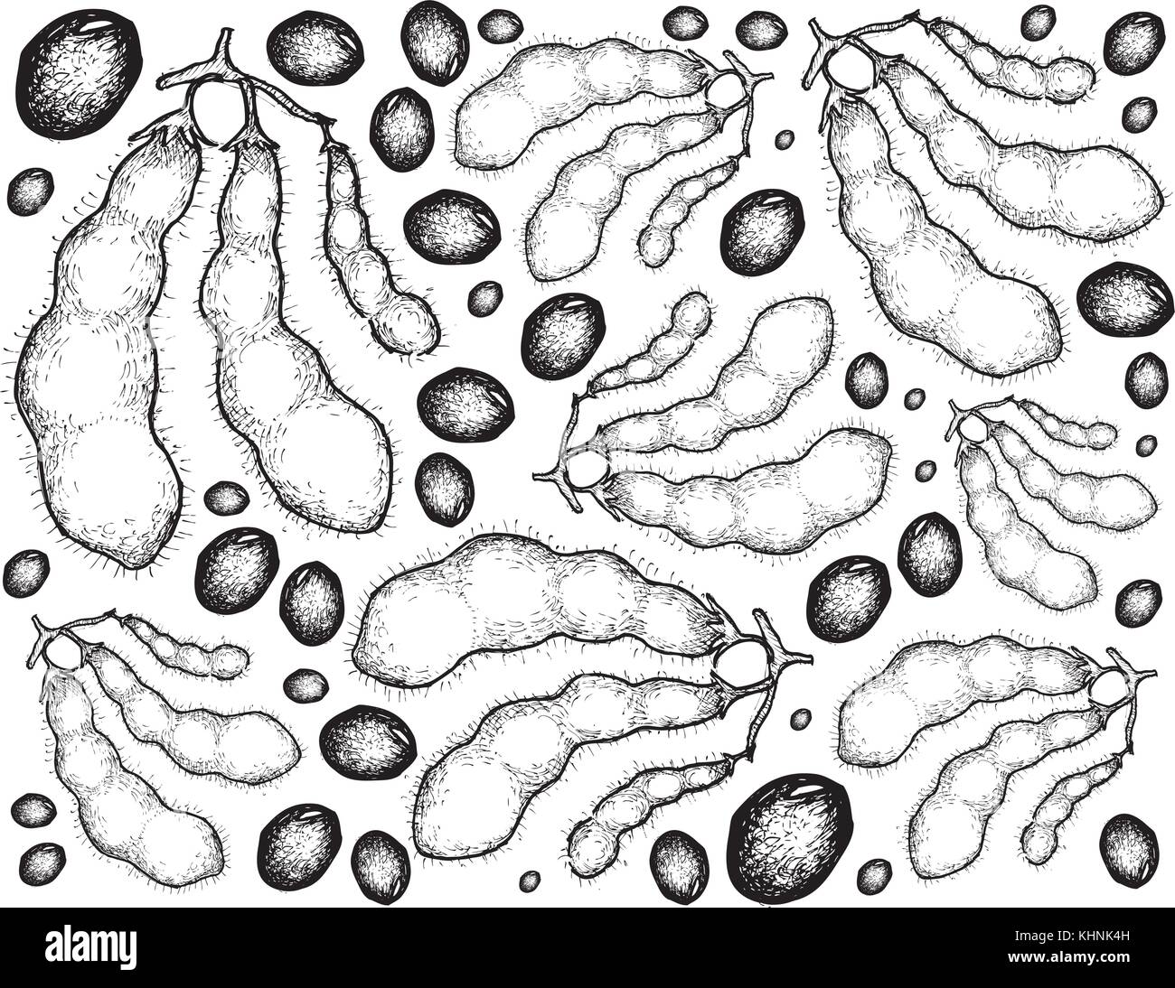 Gemüse und Obst, Illustration Hintergrund Muster von Hand gezeichnete Skizze frische grüne Sojabohnen oder Edamame Pods. Stock Vektor