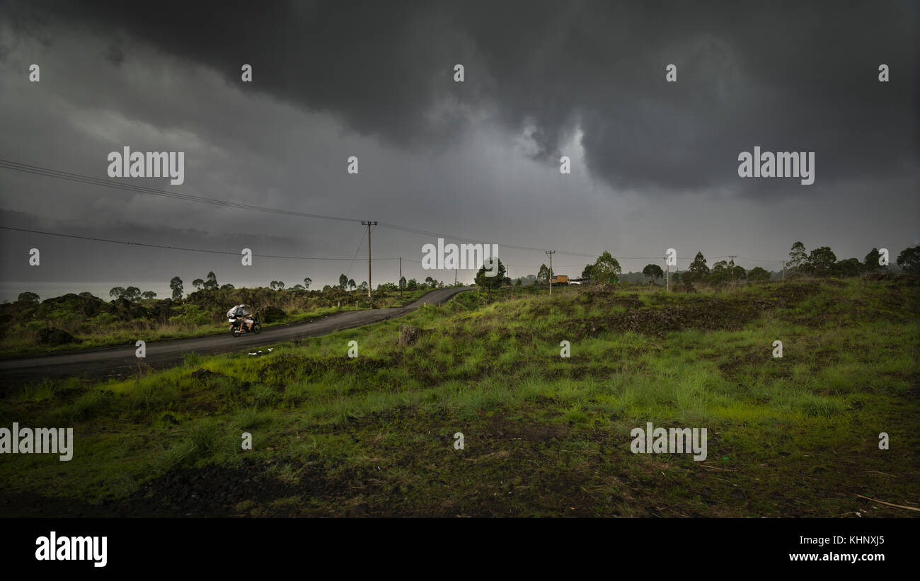 Asiatische tropischer Wald, Wald, Gesträuch, Gras, Indonesien, Bali Stockfoto