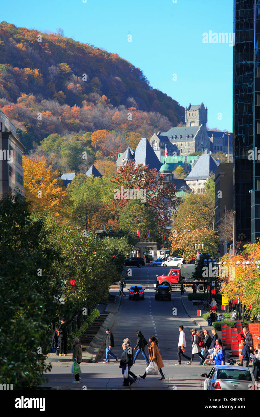 Kanada, Quebec, Montreal, mcgill College Avenue, Mount Royal, Stockfoto