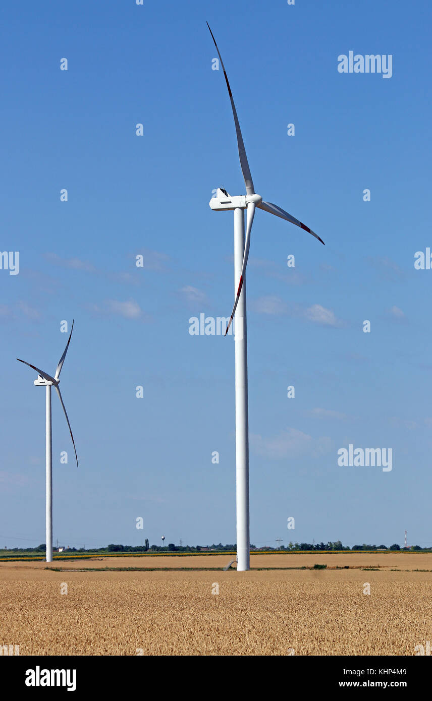 Windenergieanlagen auf Weizenfeld Stockfoto