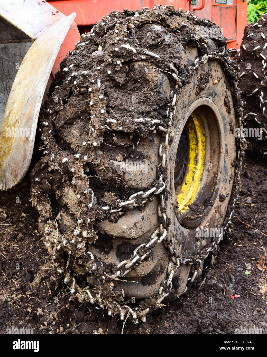 Nahaufnahme eines skidder Traktor Reifen mit Ketten mit Schlamm bedeckt. Stockfoto