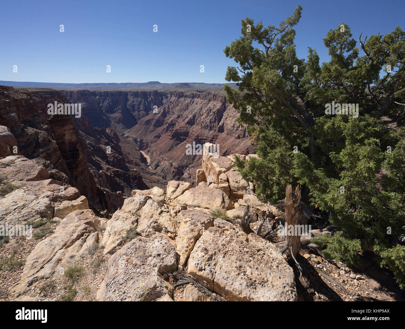 Little Colorado Canyon hinter Großen Canyon. Stockfoto