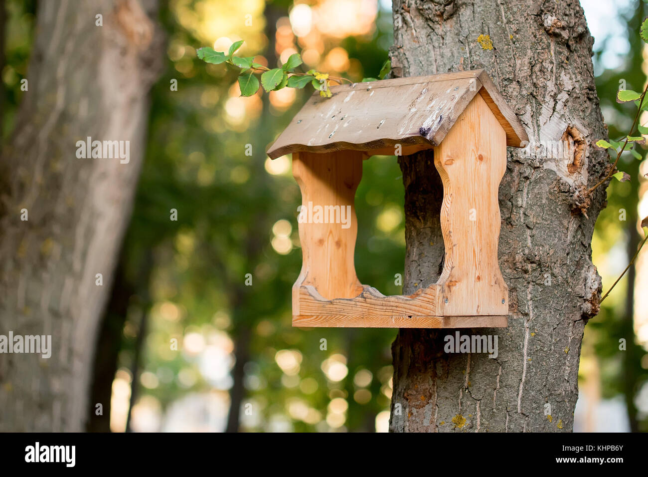 Vögel Haus Schrägförderer Stockfoto