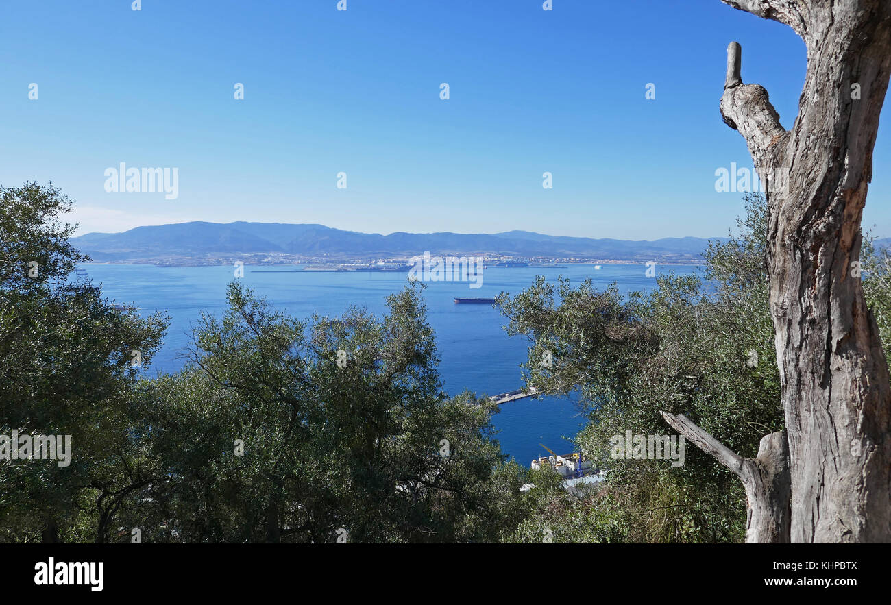 Blick vom Felsen von Gibraltar - Gibraltar Bay, die Bucht von Algeciras Stockfoto