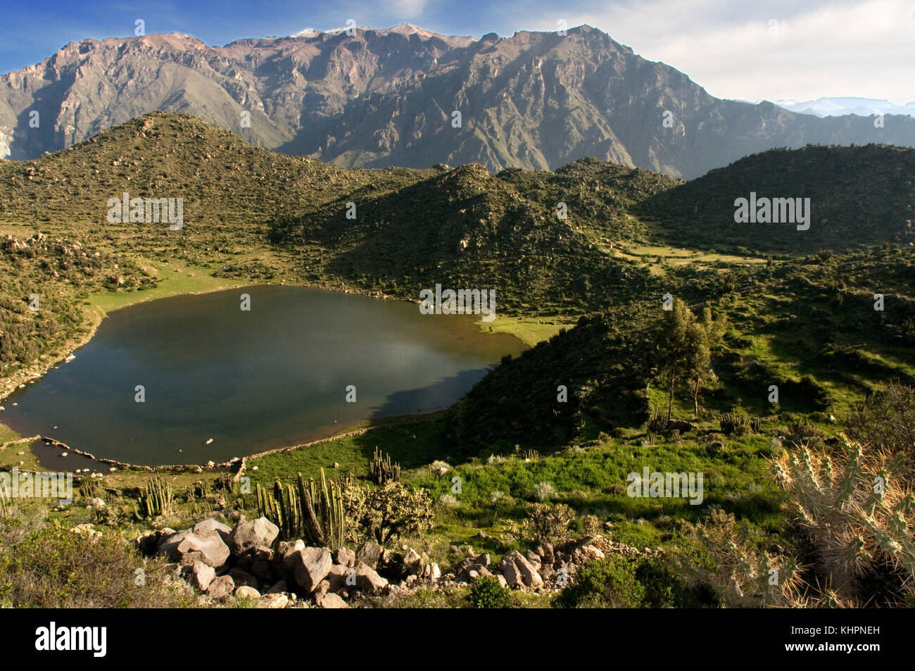 Landschaft des peruanischen Hochplateaus in der Nähe des Colca Canyons auf der Route, die zum Cruz del Cóndor führt. Cruz del Condor, Aussichtspunkt Stockfoto