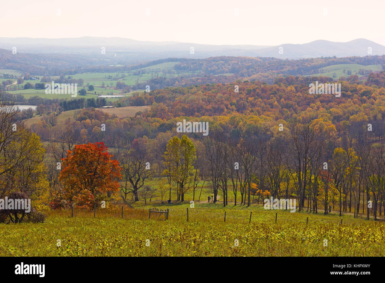 Nebliger Morgen im Herbst Park. park Panorama mit der Appalachian Berge am Horizont, Virginia, USA Stockfoto