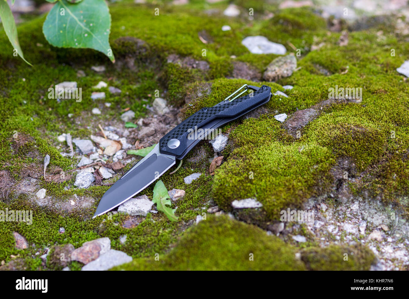 Taschenmesser mit Karabiner. Messer für das tägliche Tragen. Foto auf der Natur. Stockfoto
