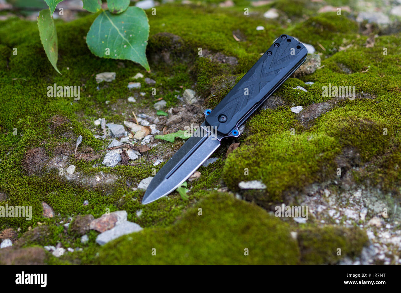 Pocket Taschenmesser für das tägliche Tragen. Foto auf der Natur. Stockfoto