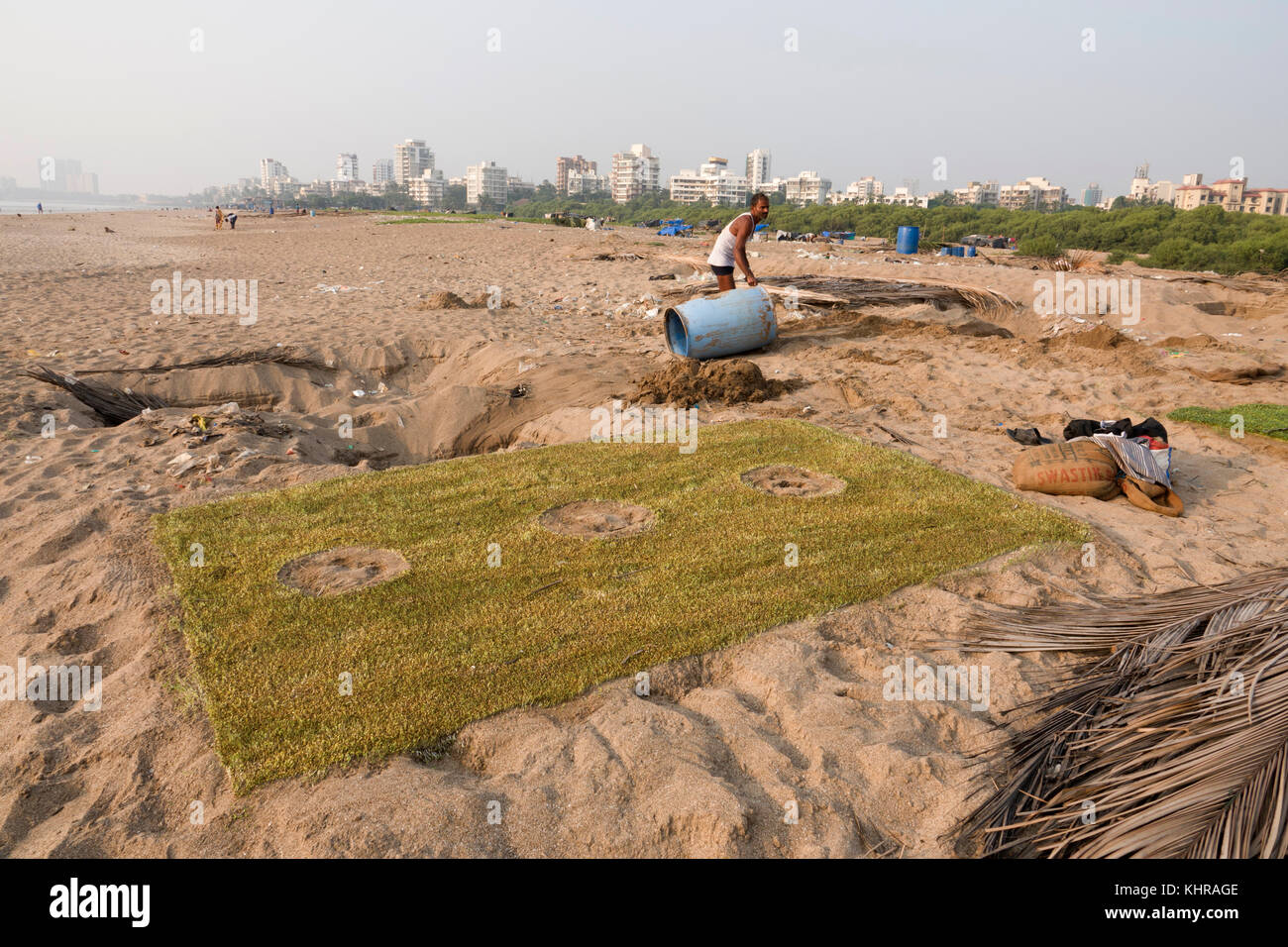 Landwirte, die bockshornklee Pflanzen im Sand an den Strand, versova Mumbai Stockfoto