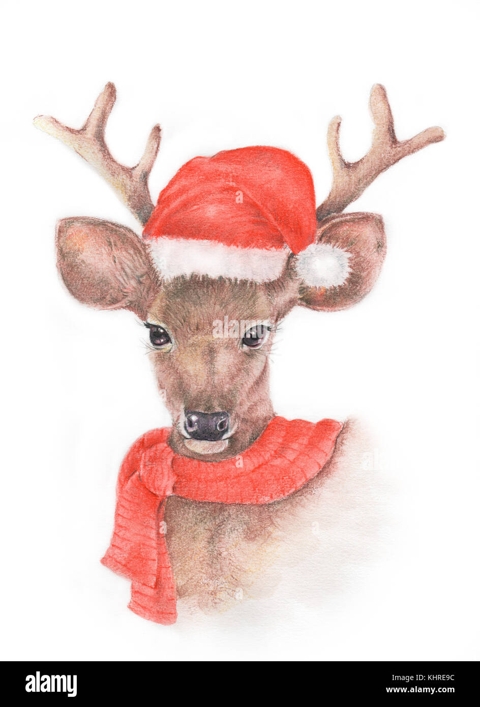 Aquarell und Bleistift Farbe Abbildung: Rotwild von Hand mit Dekoration,  Weihnachten, Frohes neues Jahr Stockfotografie - Alamy