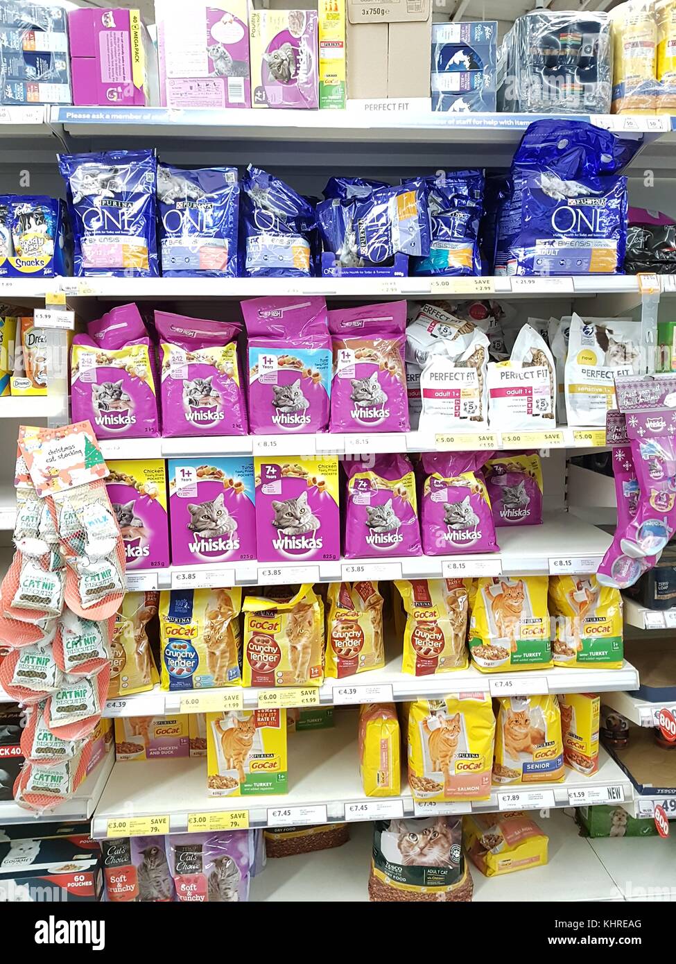 tesco kitten biscuits