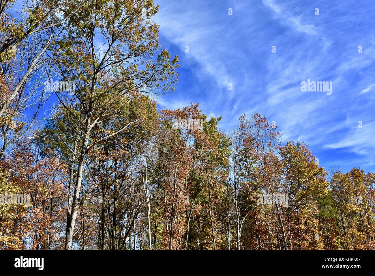 Wunderschöne Herbstlandschaft mit blauem Himmel Stockfoto