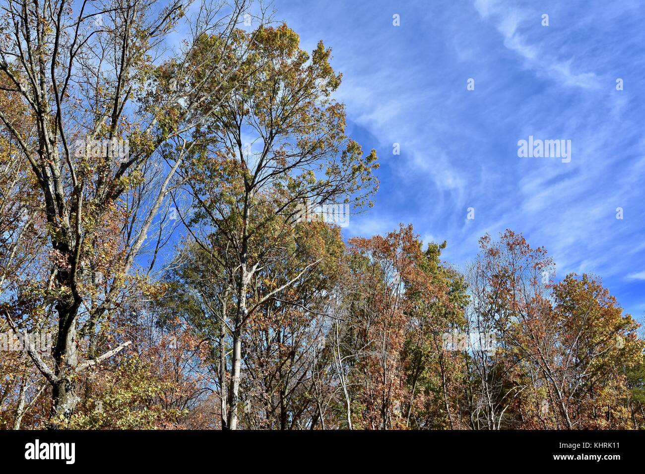 Wunderschöne Herbstlandschaft mit blauem Himmel Stockfoto