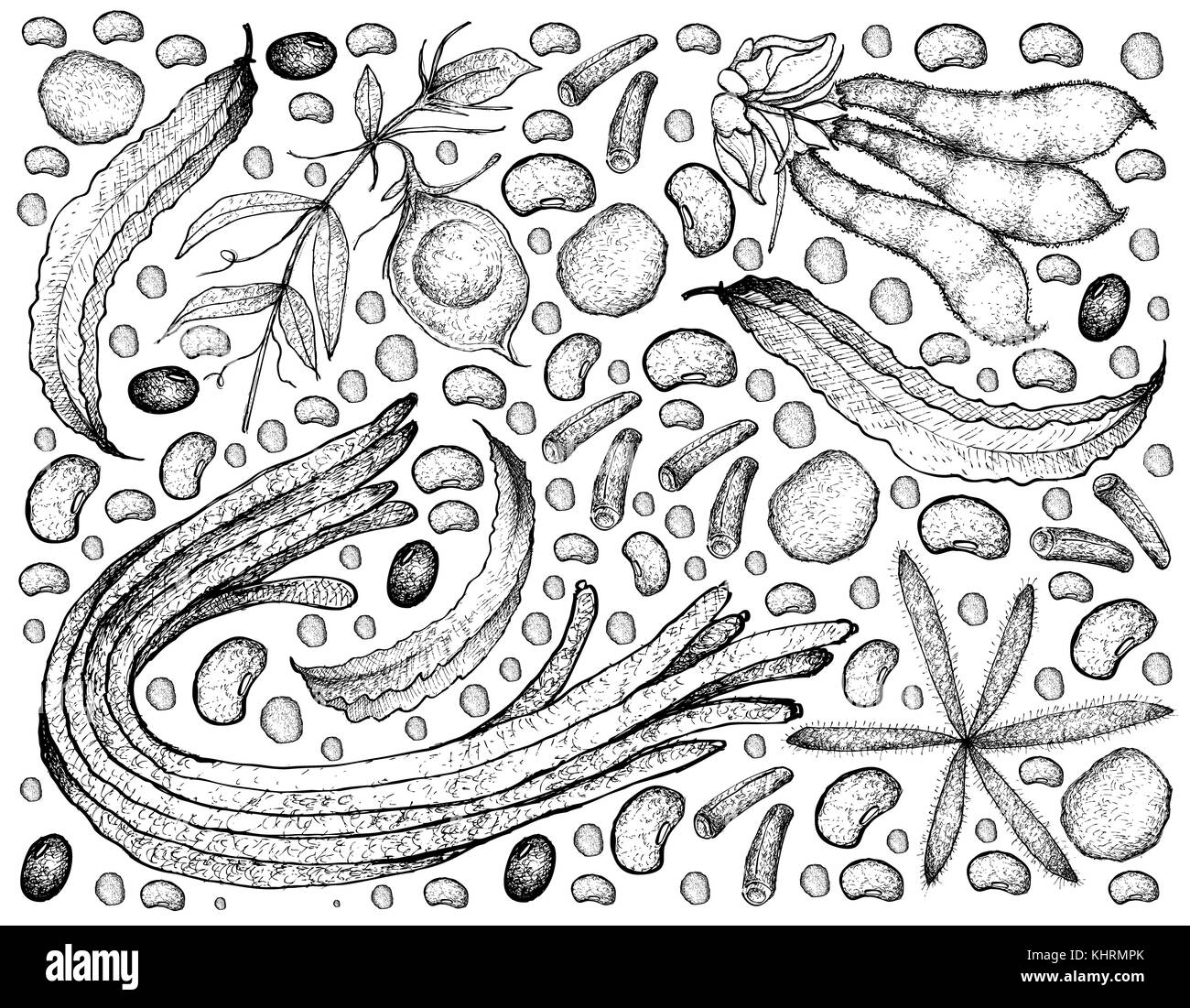 Gemüse, Illustration Hintergrund Muster von Hand gezeichneter Skizze frisches Podded Gemüse isoliert auf weiß. Stockfoto