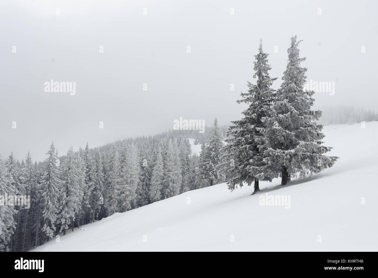traumhafte Winterlandschaft Stockfoto