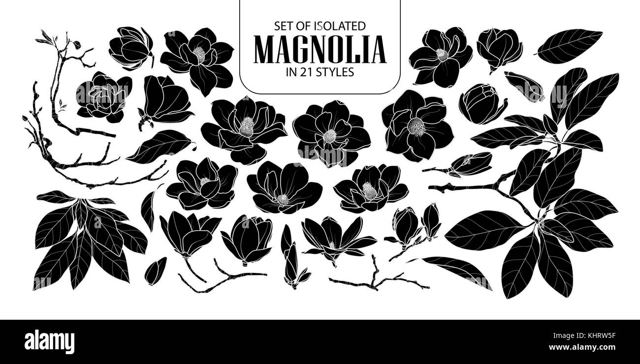 Eingestellt von isolierten silhouette Magnolia in 21 Stile. cute Hand gezeichnet Blume Vector Illustration in weißer Umriss und schwarzen Flugzeug auf schwarzem Hintergrund. Stock Vektor