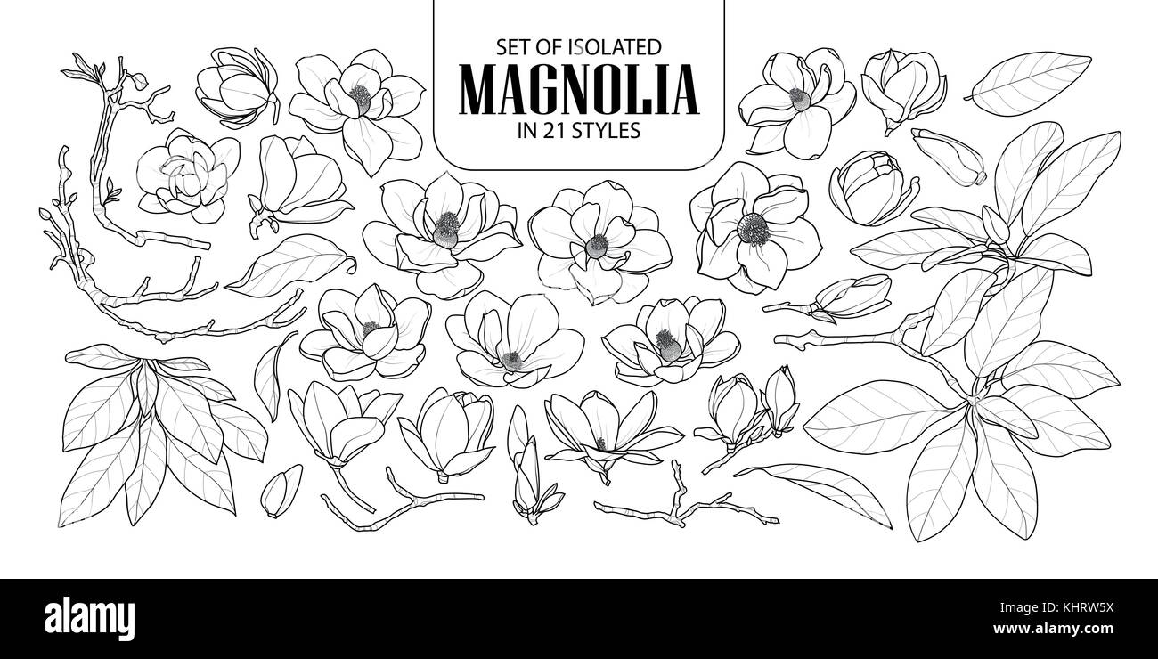 Eingestellt von isolierten Magnolia in 21 Stile. cute Hand gezeichnet Blume Vector Illustration in schwarzer Umriss und weißen Ebene auf weißem Hintergrund. Stock Vektor