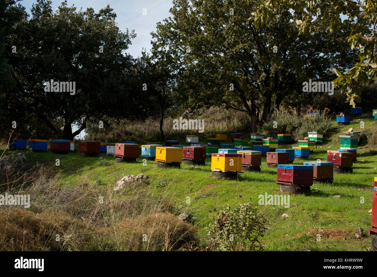 Bienenstöcke in der Nähe von Armeni in den Bergen von Kreta. Stockfoto