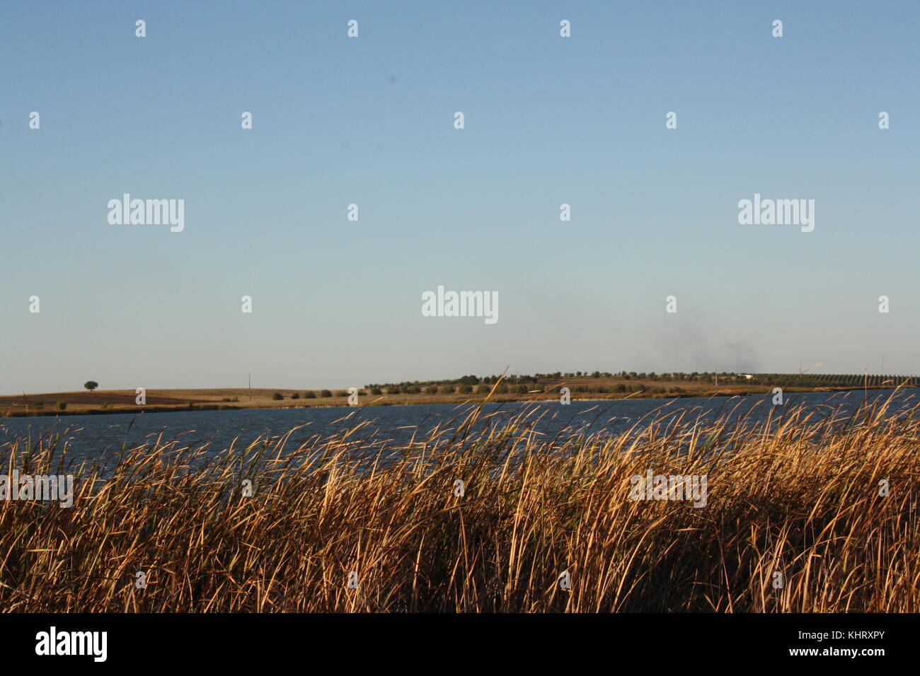 Wunderschöne Bilder außerhalb eines Lagers mit hoher Qualität (1080p) Kamera genommen. Stockfoto