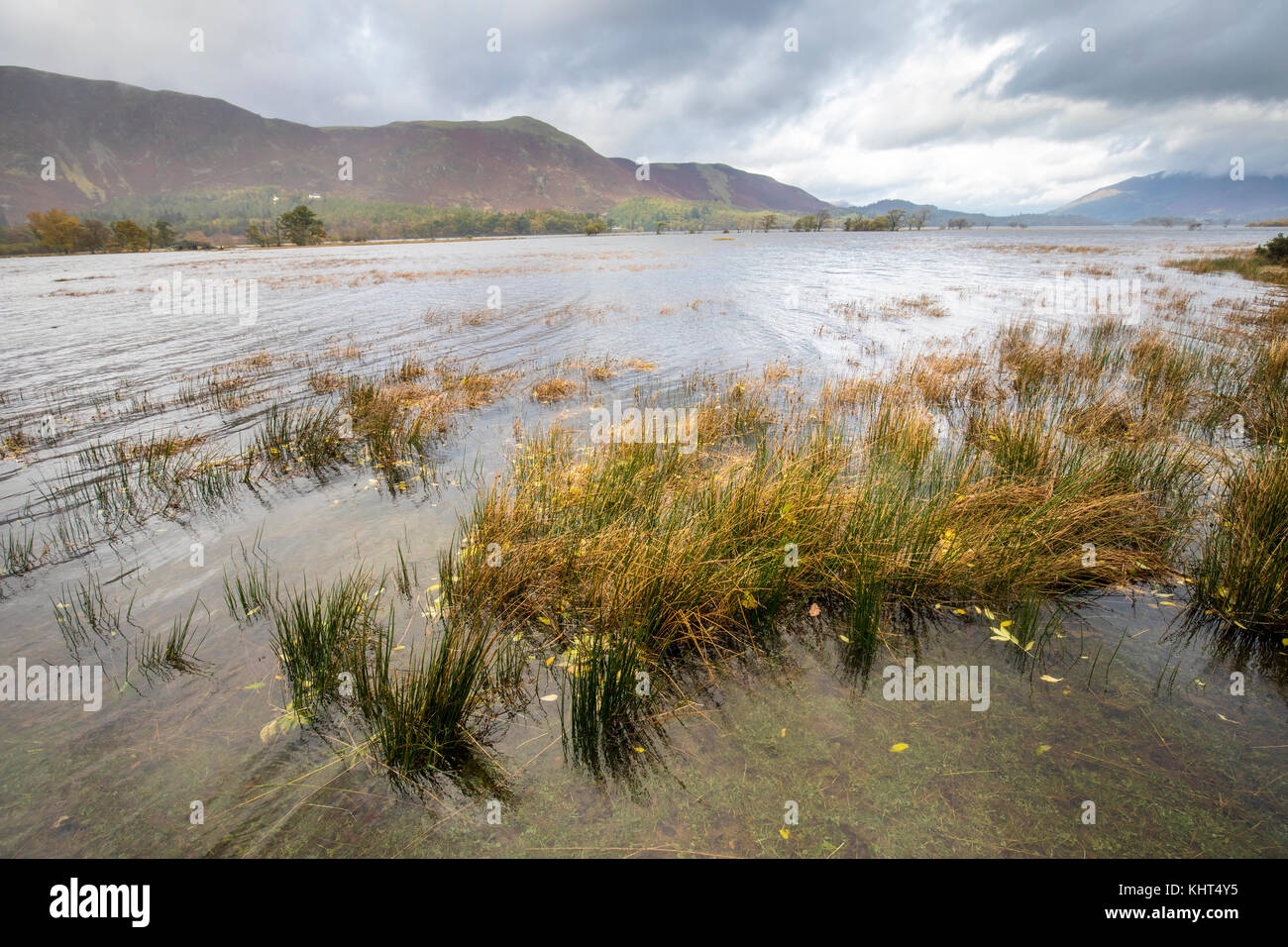 Überschwemmte Felder, Derwent Water, Lake District, Cumbria, England, Großbritannien Stockfoto