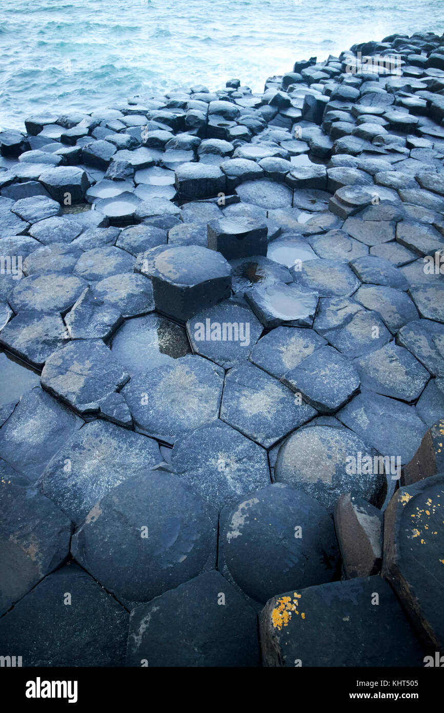 Felsen in der Abenddämmerung am Giants Causeway County Antrim Nordirland uk Stockfoto