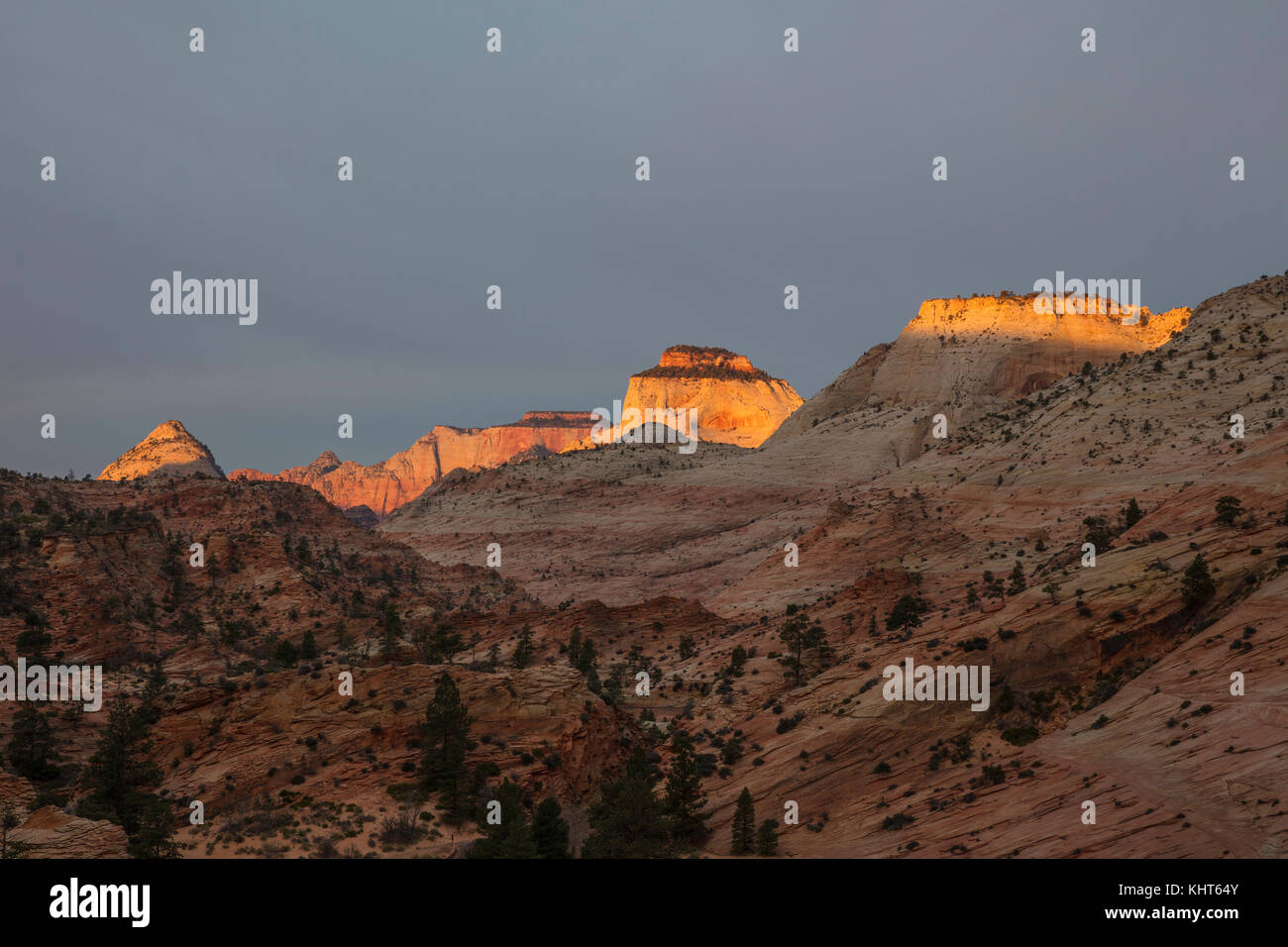 Morgen, wenn's licht wird, Türme der Jungfrau, Zion National Park, Utah Stockfoto