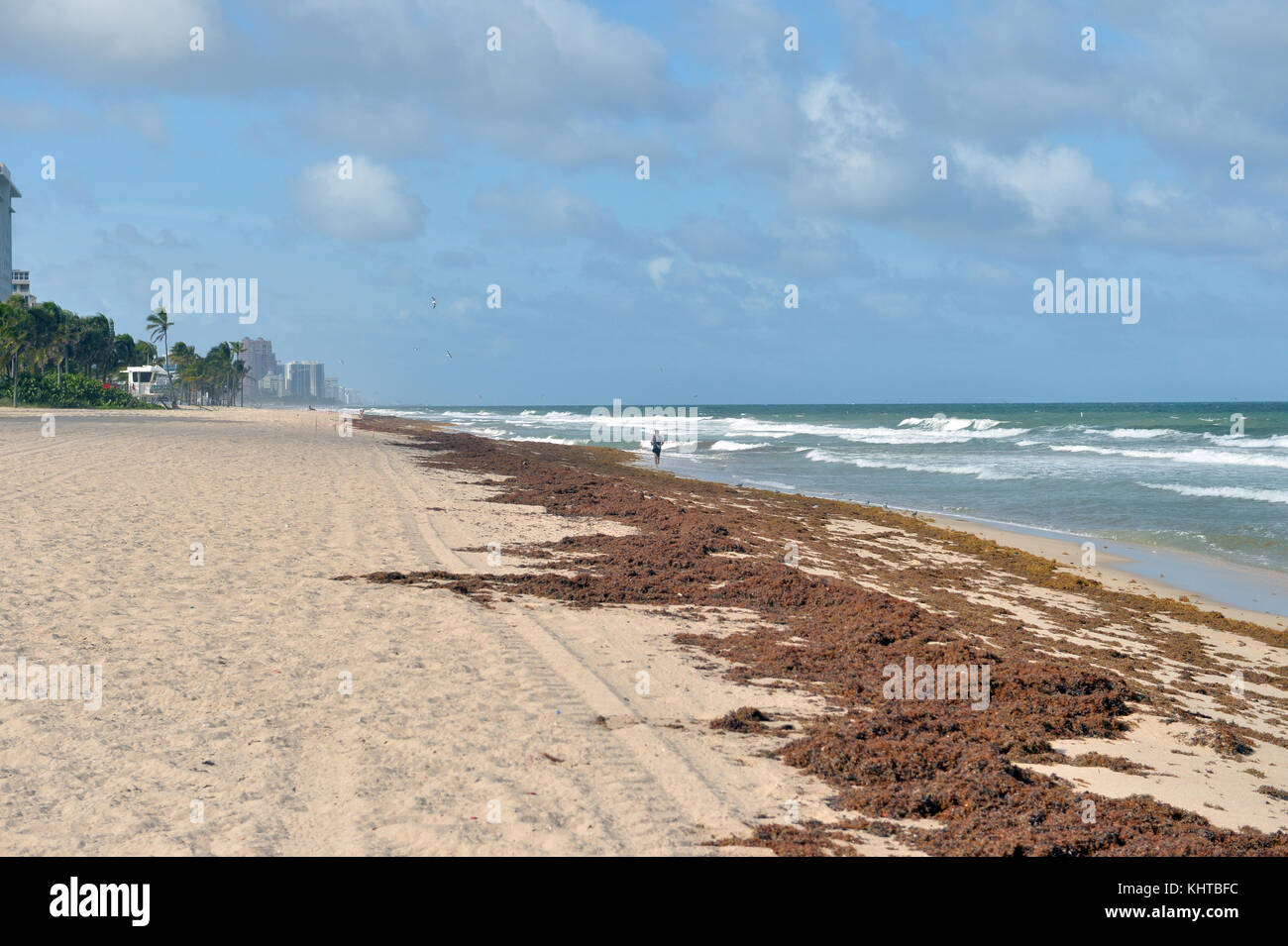 Datierung in fort lauderdale florida