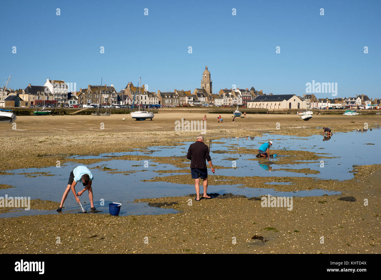 Cockle Kommissionierung bei Ebbe in Le Croisic auf der Halbinsel Guérande in der Loire-Atlantic Region Bretagne Frankreich. Stockfoto