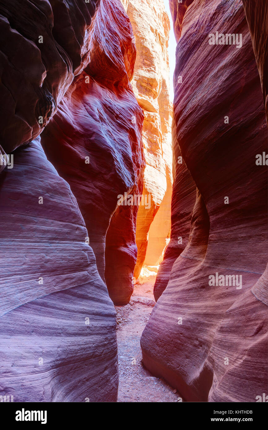 wallpapers Buckskin Gulch Arizona https www alamy de stockfoto schmalen slot canyon kabel weitergeben die in buckskin gulch paria canyon vermilion cliffs wilderness nahe dem utah arizona grenze im sudlichen utah einheit 165883015 html