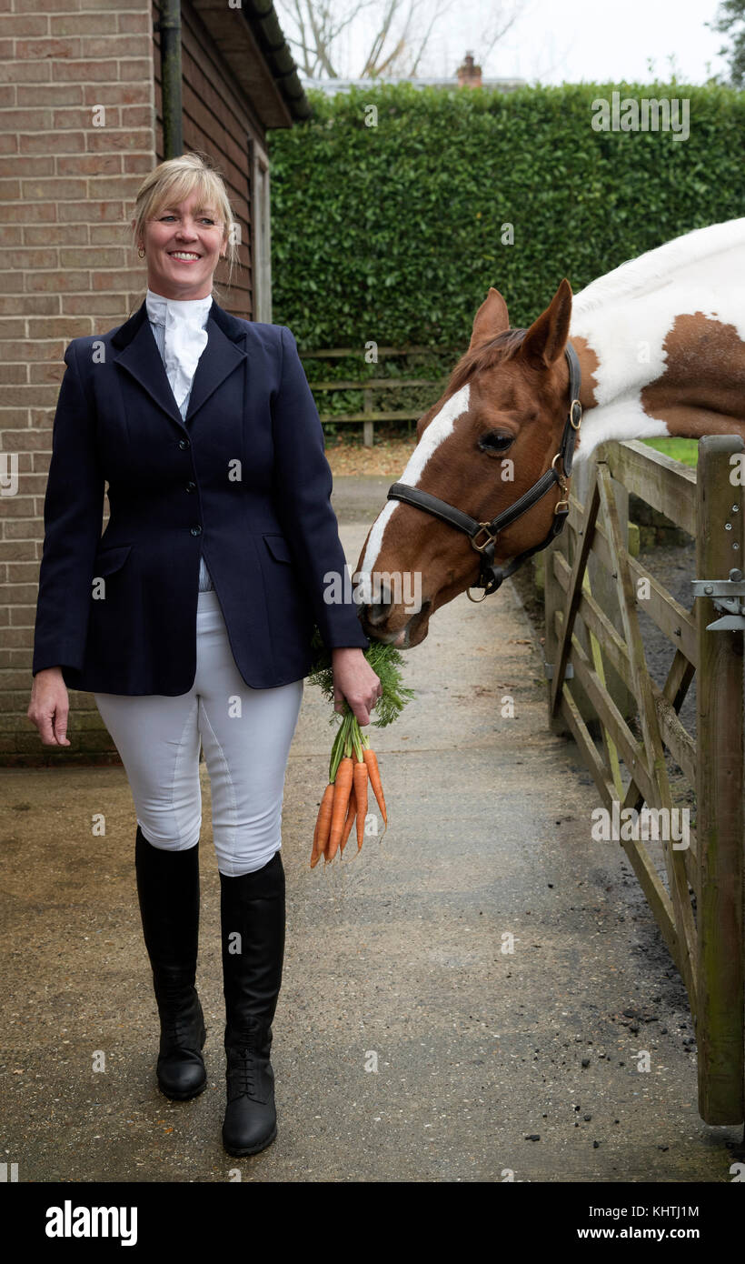 Elegant gekleidete Reiterin mit einem Haufen Karotten, um ihr Skewbald-Pferd zu verführen Stockfoto