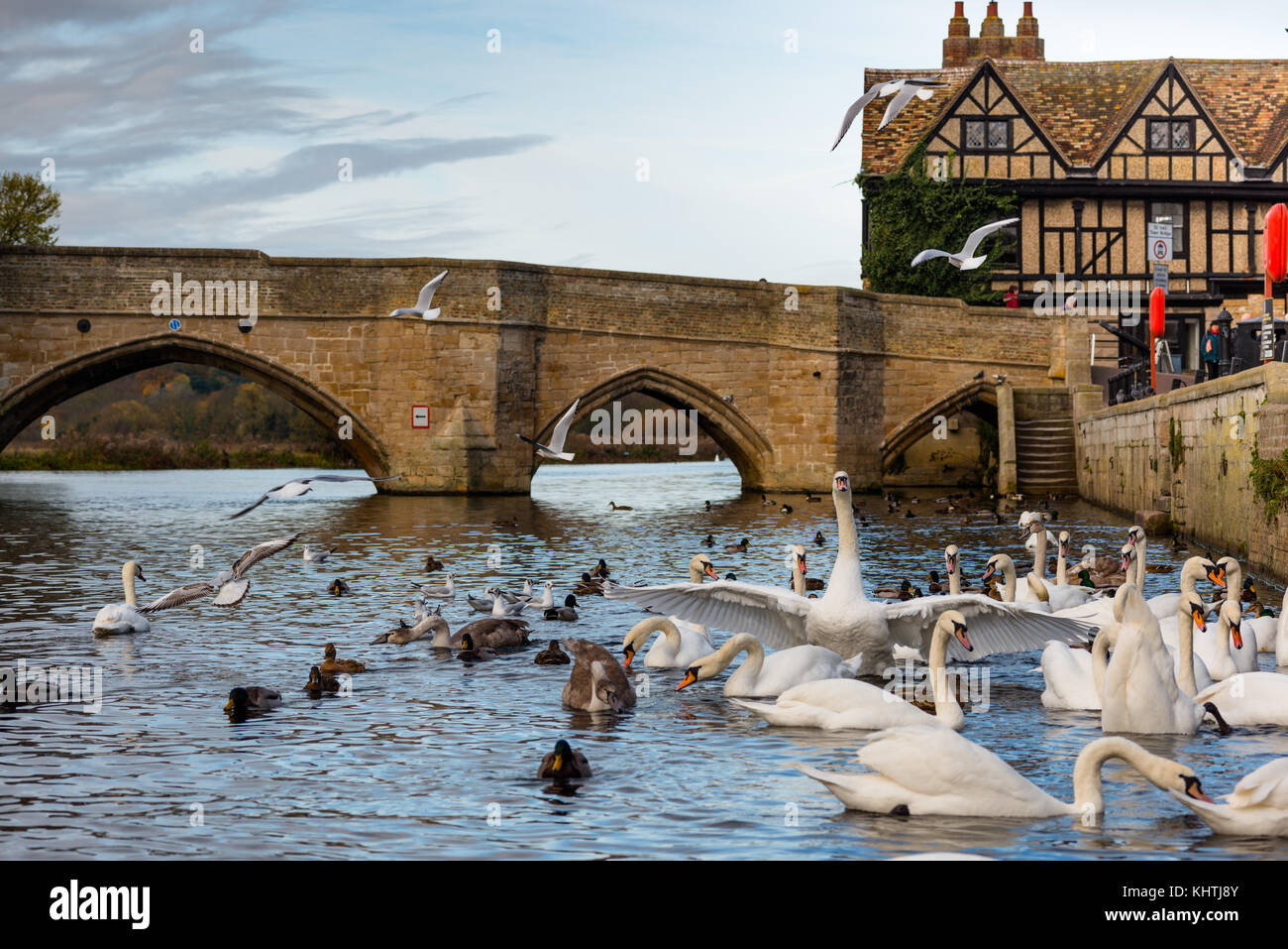 Fluss Great Ouse mit dem mittelalterlichen St Leger Kapellbrücke in St Ives, Cambridgeshire, England, UK. Stockfoto