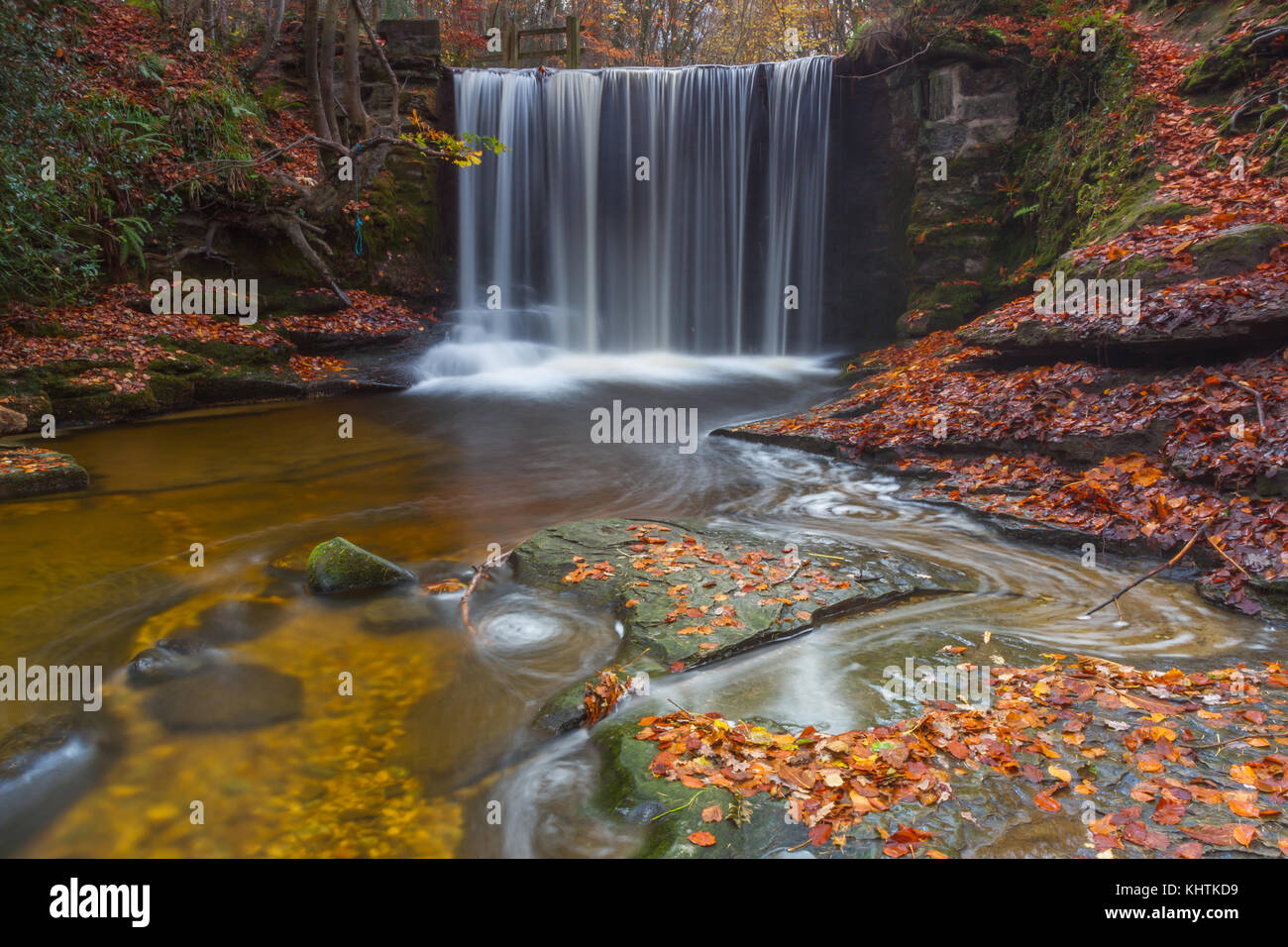 Herbstfarben im Wald bei nant Mühle, Wales Stockfoto