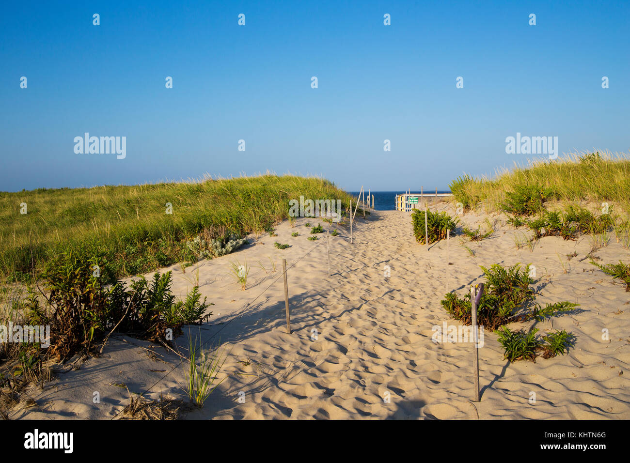 Strand Eingang in Cape Cod Stockfoto