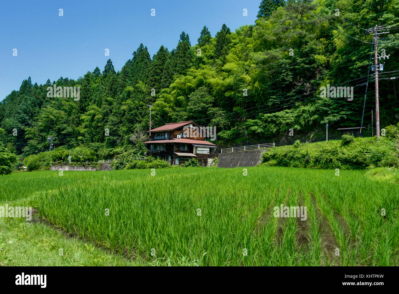 Tsumago Magone Trail Japan - Oktober 2017 Stockfoto