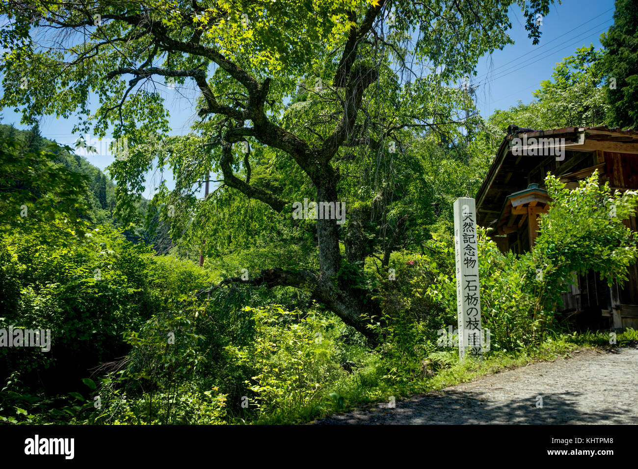 Tsumago Magone Trail Japan - Oktober 2017 Stockfoto