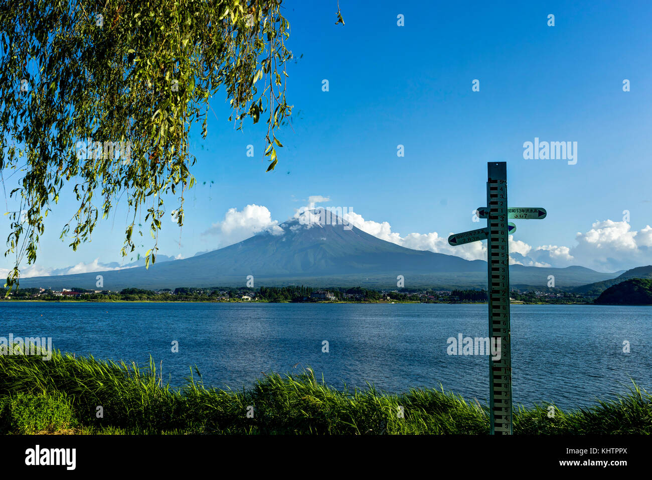 Blick auf den Mount Fuji mit Blumen im Sommer mit blauem Himmel und Clou Stockfoto
