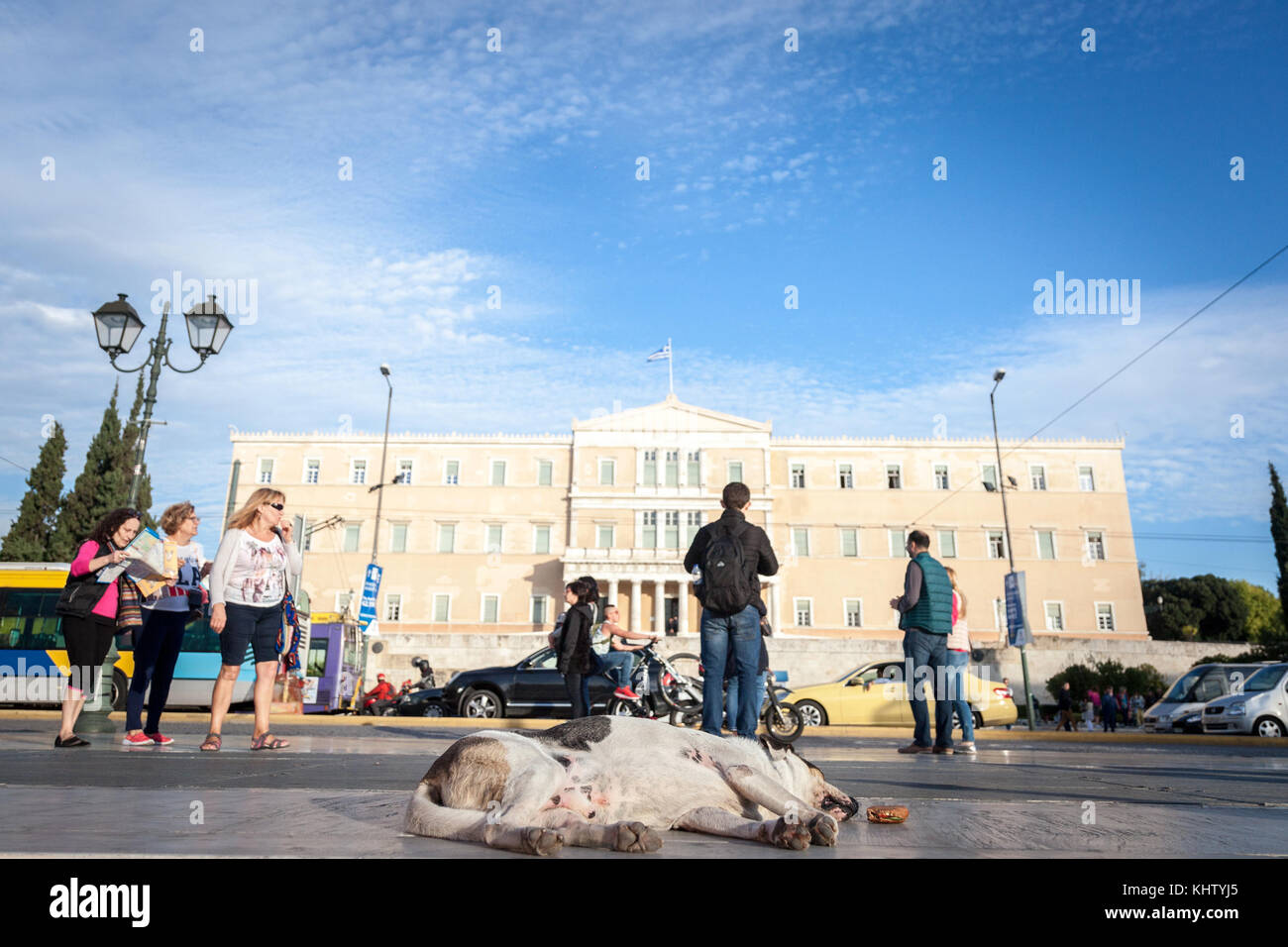 Athen, Griechenland - November 3, 2017: Hund schläft auf dem Syntagma-Platz vor dem Parlament. Dieser Platz ist eine der wichtigsten Sehenswürdigkeiten von Athen, Ca Stockfoto