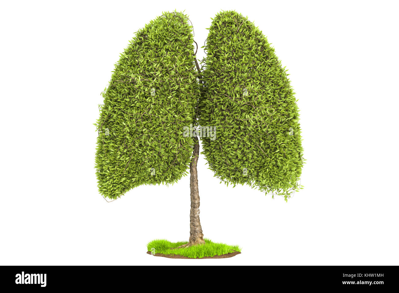 Baum in der Form von Lunge, eco-Konzept. 3D-Rendering auf weißem Hintergrund Stockfoto