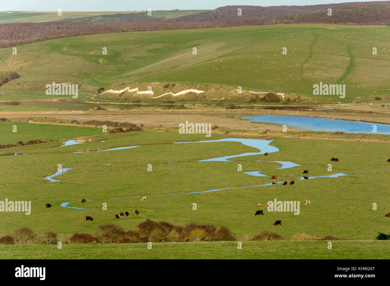 Cuckmere River, Sieben Schwestern Country Park, Seaford, East Sussex, England, Vereinigtes Königreich Stockfoto