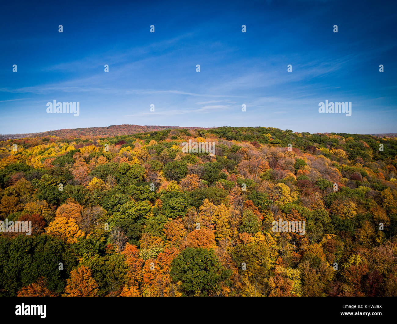 Luftaufnahme der Wald im Herbst lebendige Farben Stockfoto