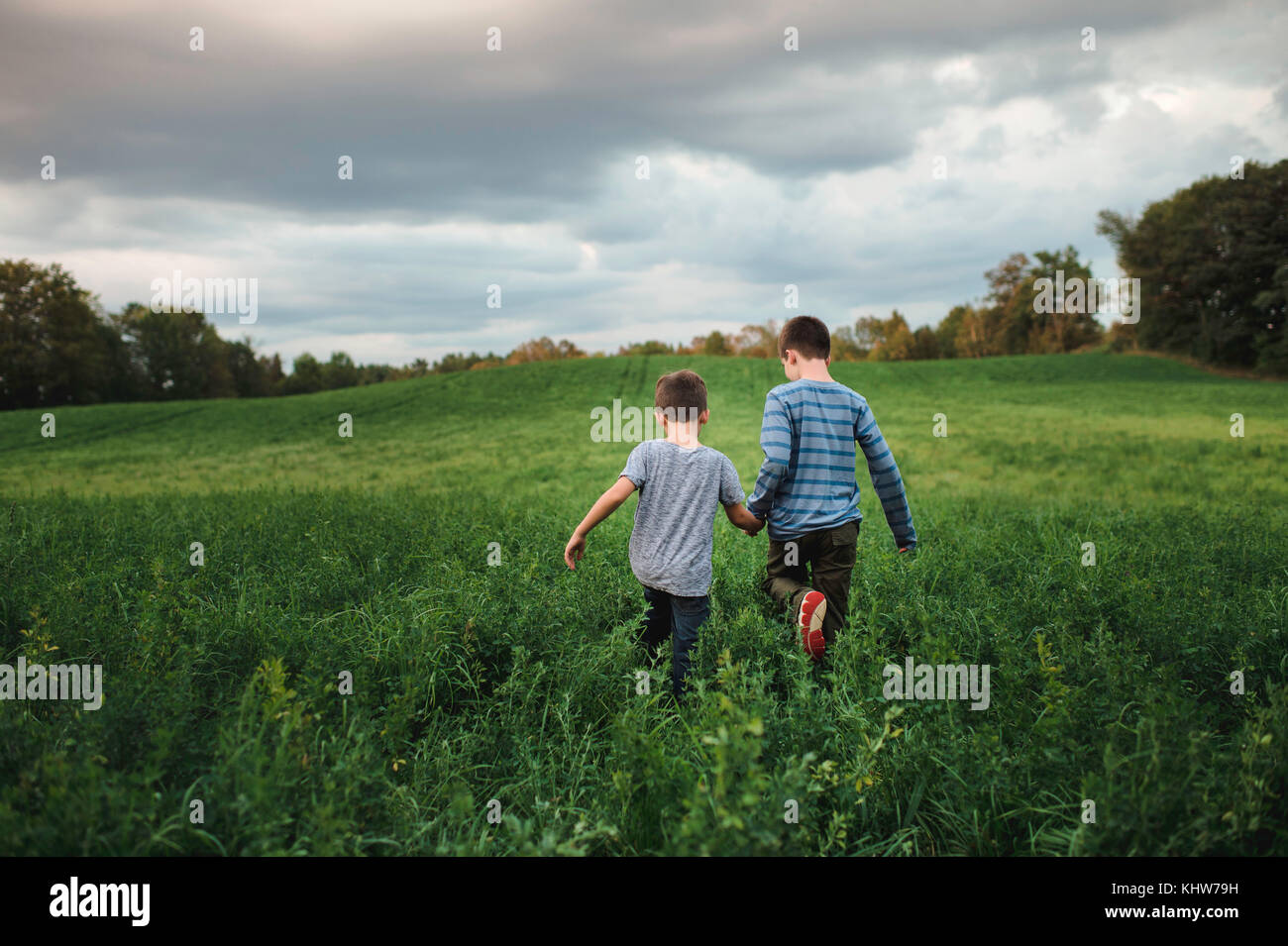 Brüder wandern auf der grünen Wiese Stockfoto
