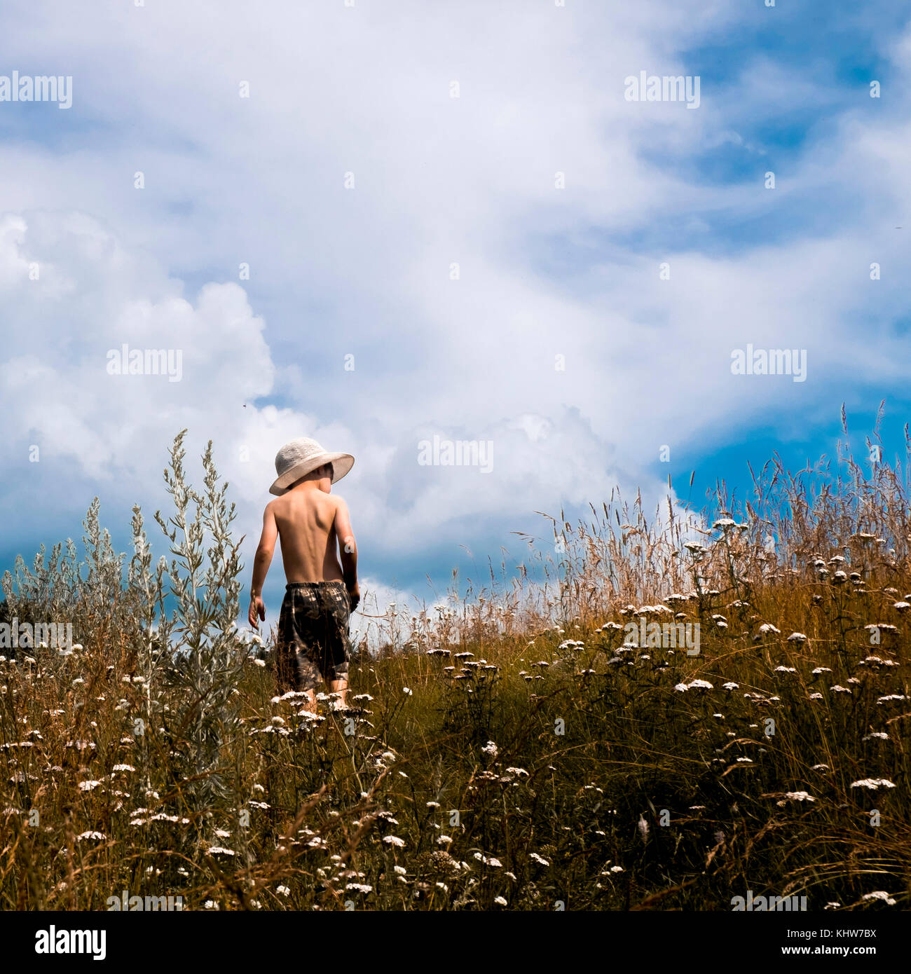 Junge Spaziergang durch Wiese, Rückansicht, Ural, Gebiet Swerdlowsk, Rußland, Europa Stockfoto