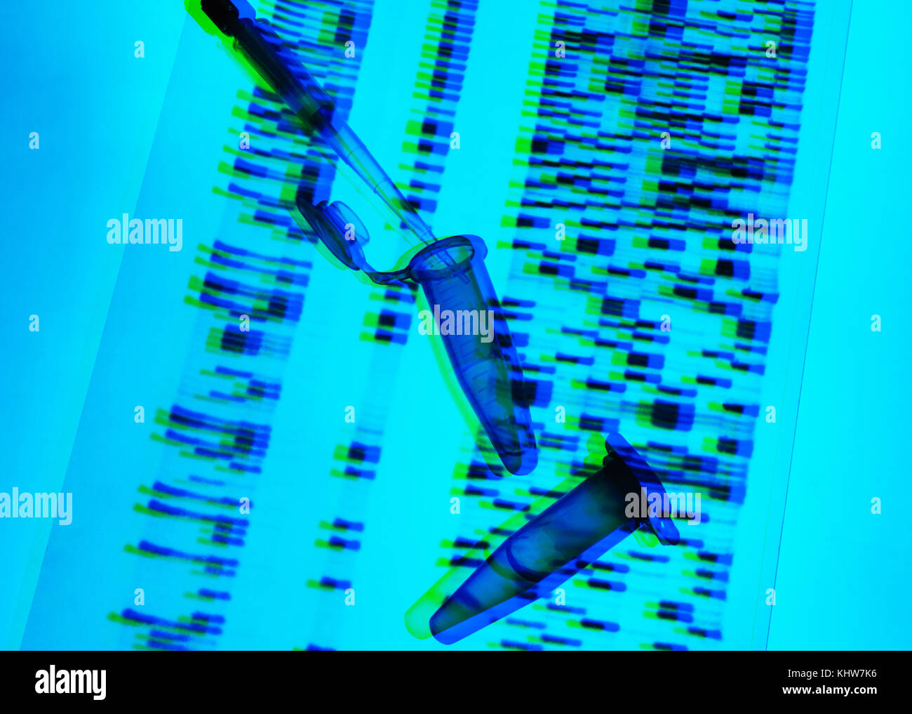 Die genetische Forschung, Pipettieren und DNA-Proben auf dna autoradiogram, die Forschung in den Biowissenschaften und der genetischen Veränderung Stockfoto