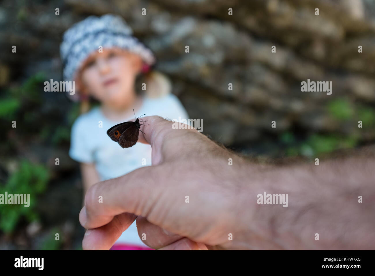 Ein 5 Jahre altes Mädchen watchnig ein Schmetterling Stockfoto