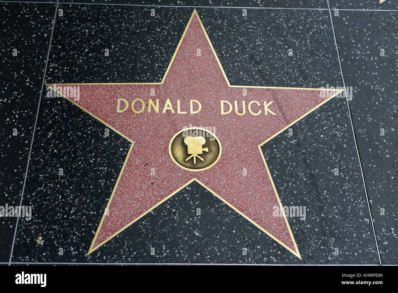HOLLYWOOD, CA - DEZEMBER 06: Donald Duck Star auf dem Hollywood Walk of Fame in Hollywood, Kalifornien am 6. Dezember 2016. Stockfoto