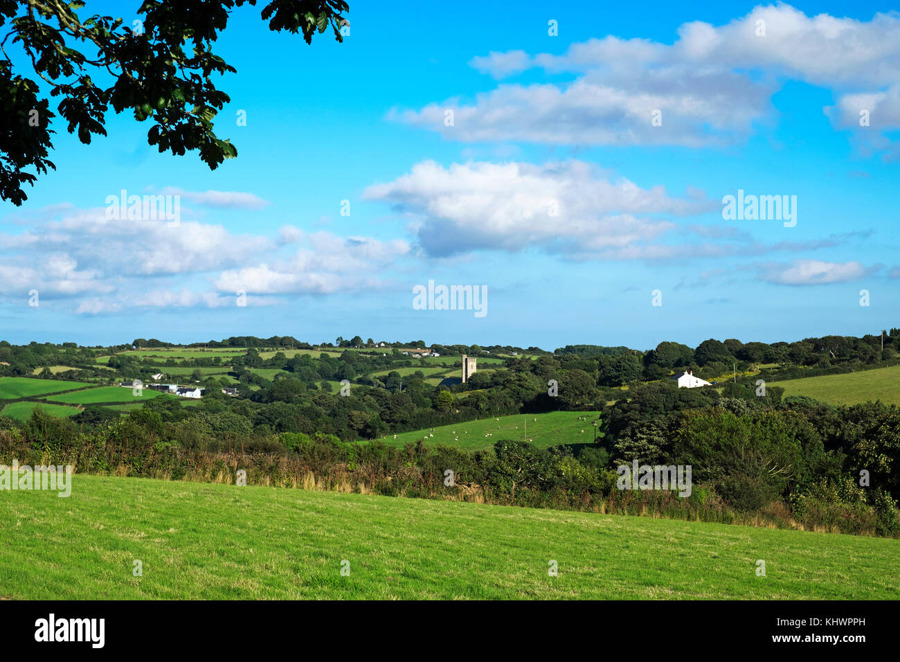 Landschaft von Cornwall in der Nähe von Truro, Cornwall, England, Großbritannien, Großbritannien, Stockfoto